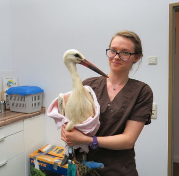 Emma mit ihrer Pflegerin in der Tierarztpraxis von Dr.Mensing
