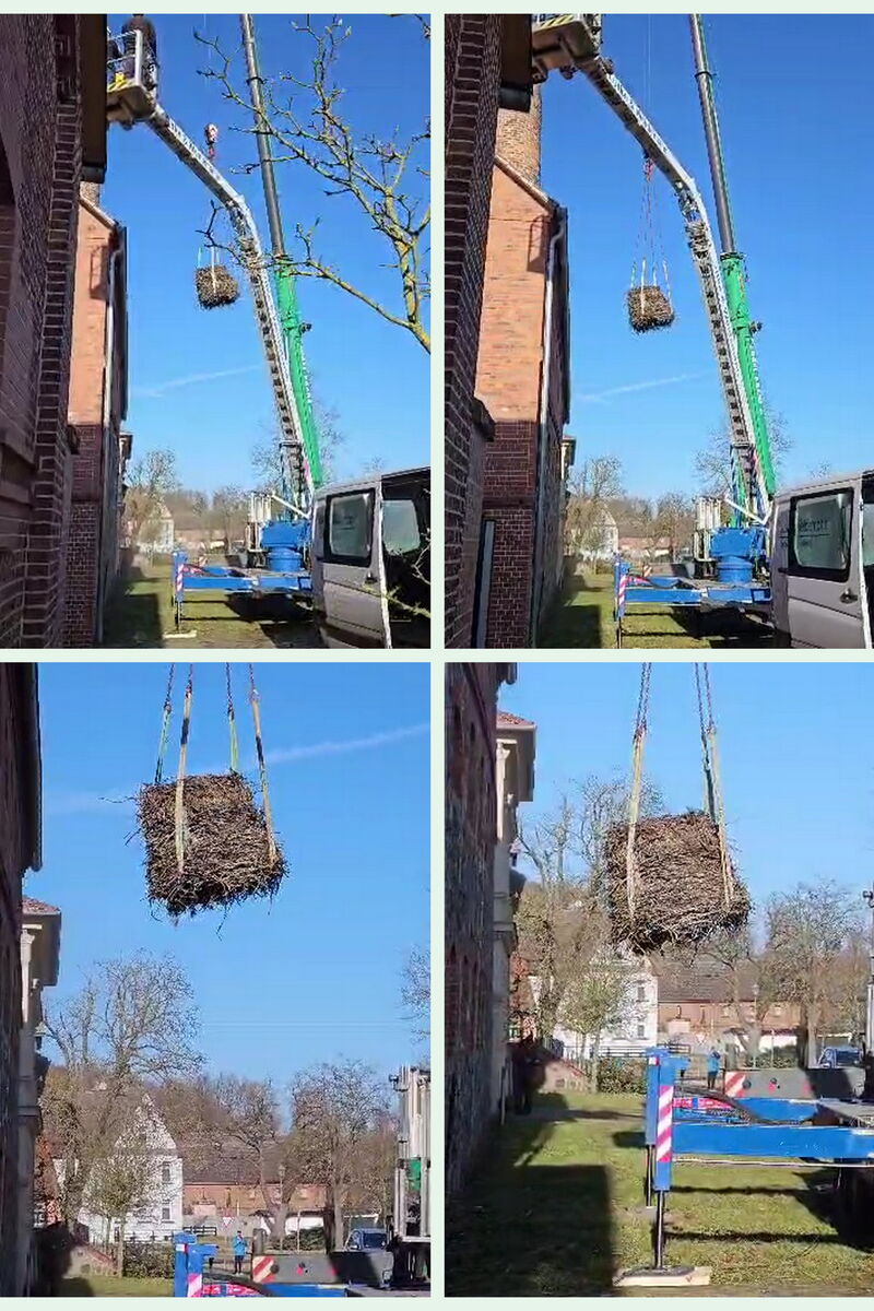 am Kran hängt ein riesiges Storchennest