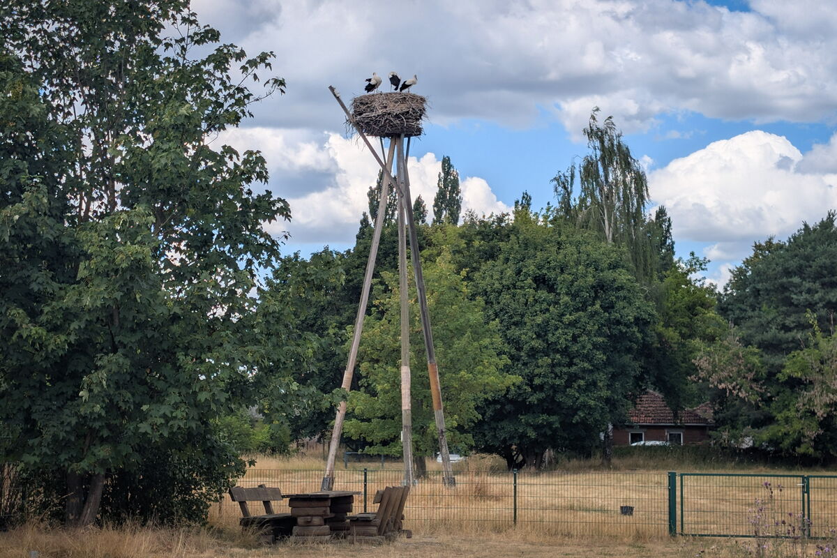 Blick zum Wiesenhorst
