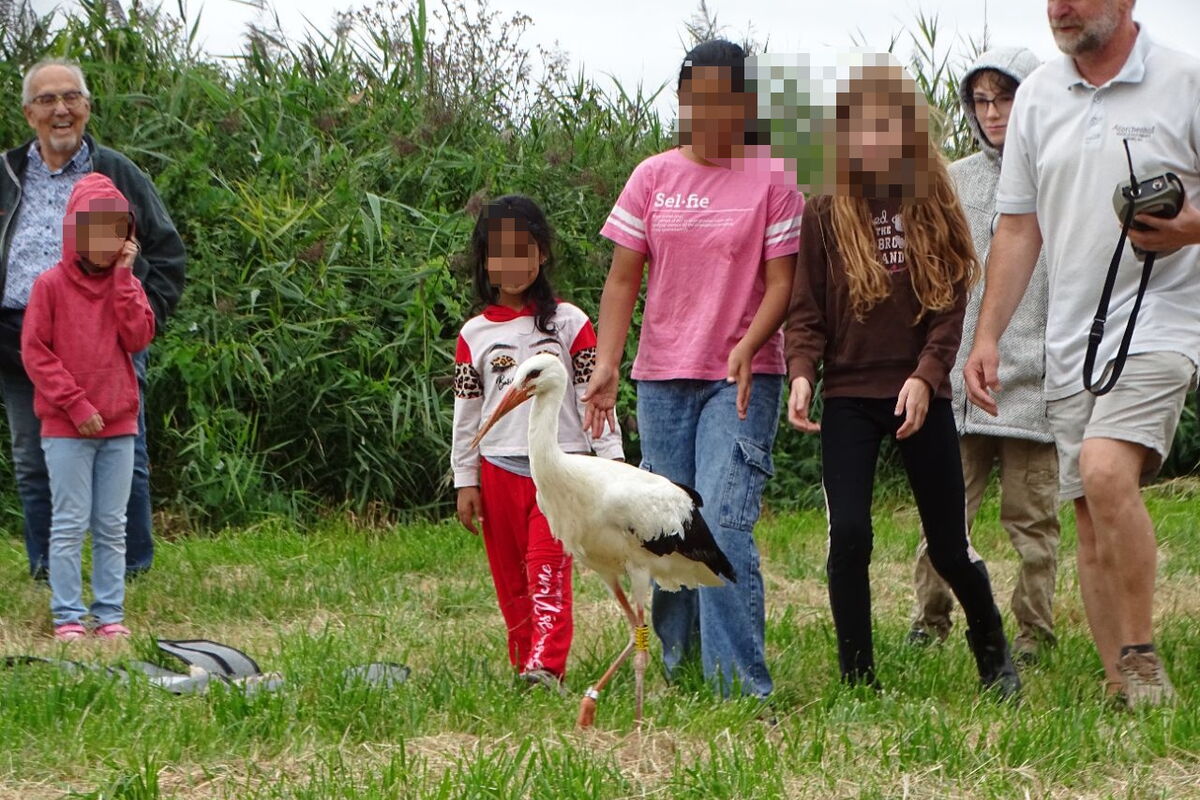 der kleine Kreuzschnabel Schnabi vor einer Menschengruppe mit Kindern, die Gesichter sind verpixelt