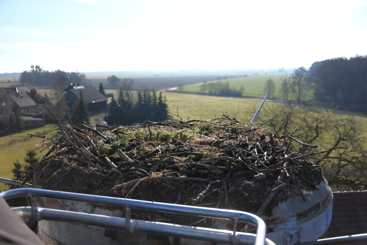 Blick aus dem Hubsteiger auf das Nest auf dem Schornstein