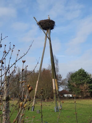 Wiesenhorst 22.02.2023