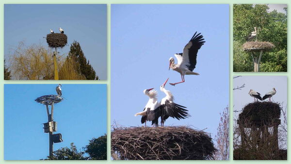 Klick auf das Bild um zur Datei zu gelangen