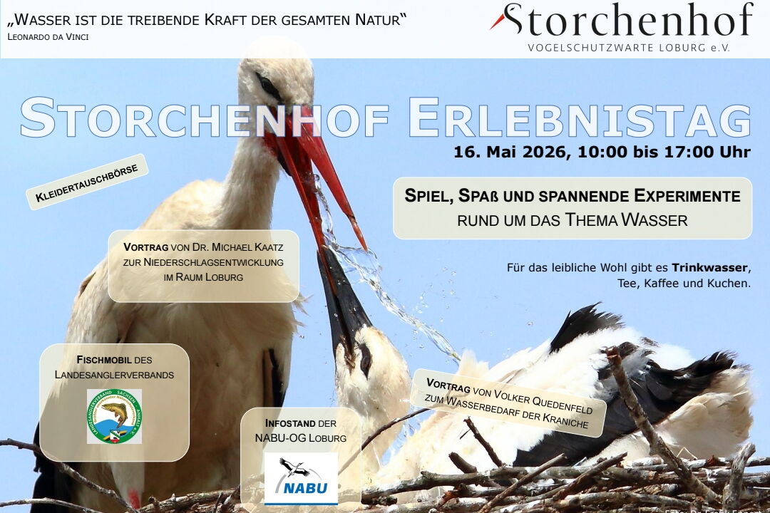 als Hintergrund ein Storch, der seinen jungen Wasser gibt, auf dem Foto Schriftzüge zum Erlebnistag (wie auch im Text beschrieben)