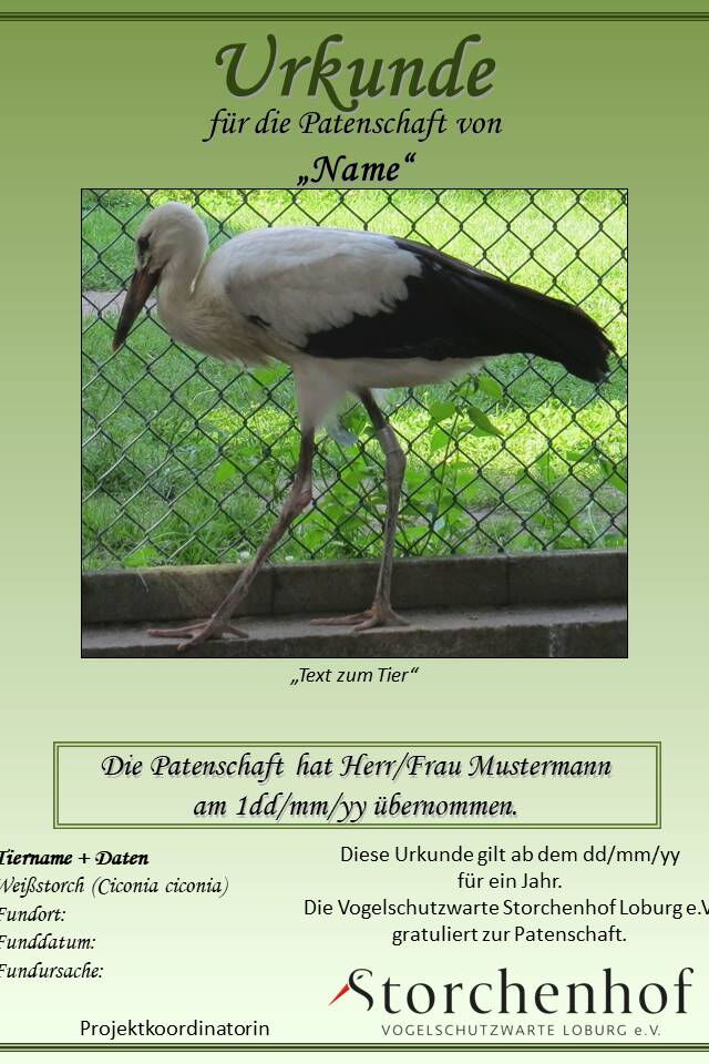 Ein Beispiel für die Patenschaftsurkunde (grün)