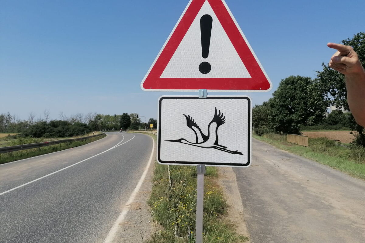 ein Verkehrsschild-Kombi: oben ein Dreieck-Spitze oben mit Ausrufezeichen, drunter ein rechteckiges Schild mit einem fliegenden Storch