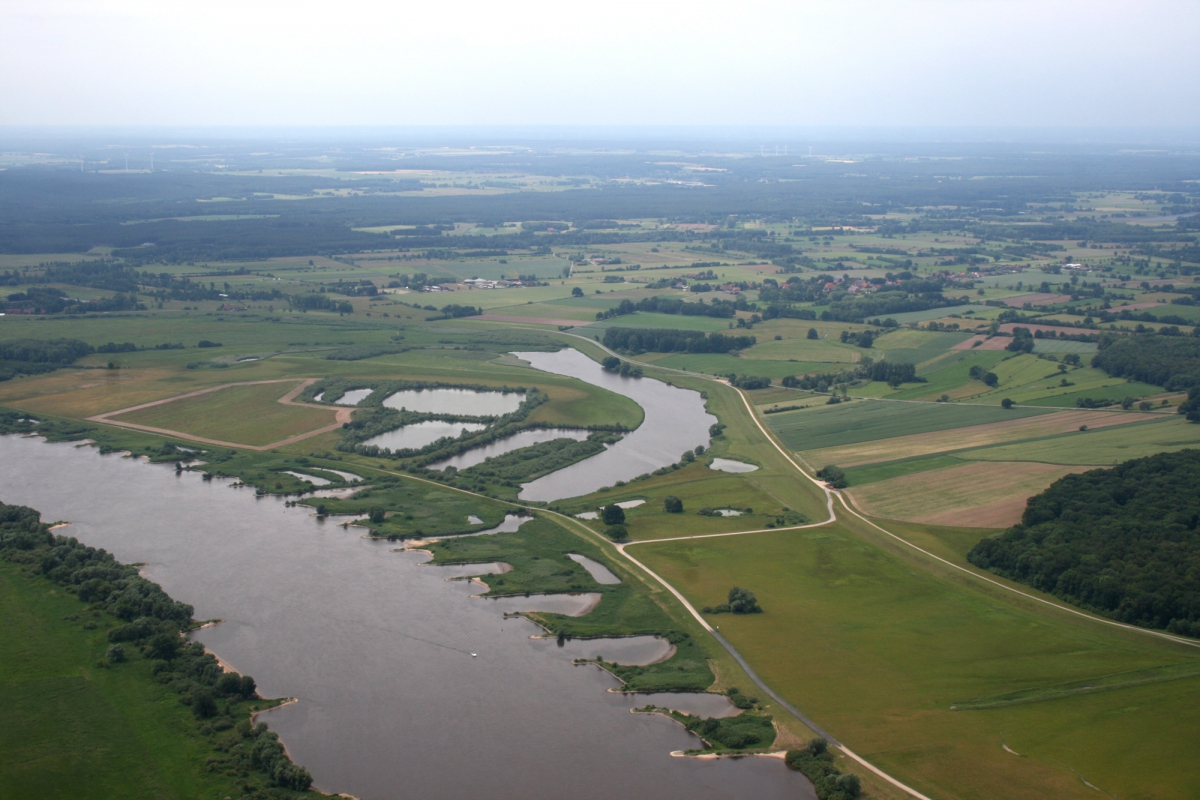 Luftbild: Elbe, rings herum Felder und weite Landschaft